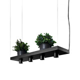 Nowodvorski Hängeleuchte Plant 4 Lichter L 80 cm B 24 cm schwarz