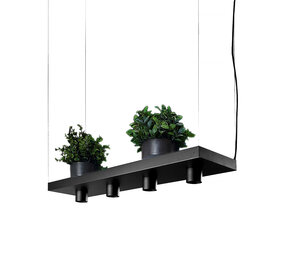 Nowodvorski Hängeleuchte Plant 4 Lichter L 80 cm B 24 cm schwarz Nowodvorski Hängeleuchte Plant 4 Lichter L 80 cm B 24 cm schwarz