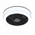 Deckenventilator Nr. 5 Ø 40 cm Anthrazit-Kante weiß Deckenventilator Nr. 5 Ø 40 cm Anthrazit-Kante weiß