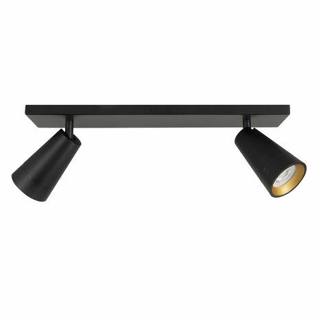 Highlight Spot Petunia 2-Lichtstrahl 40 cm schwarz gold