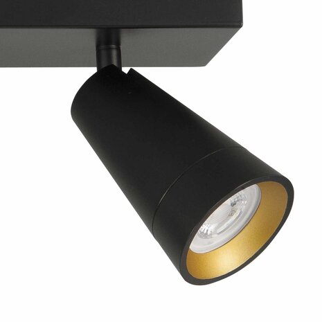 Highlight Spot Petunia 2-Lichtstrahl 40 cm schwarz gold