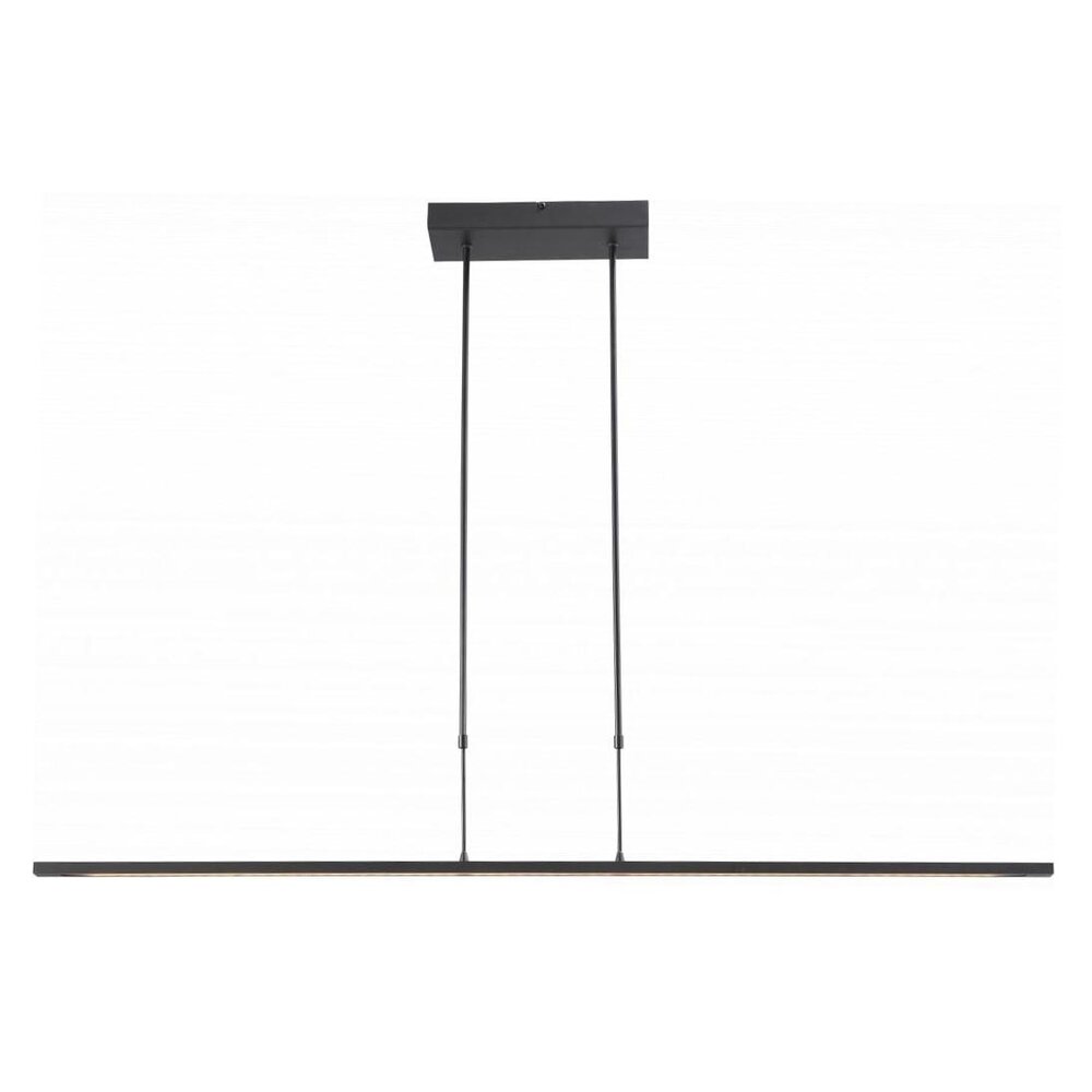 Masterlight Hängeleuchte Real 2 LED 160 cm schwarz nickel Masterlight Hängeleuchte Real 2 LED 160 cm schwarz nickel