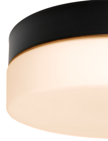 Steinhauer Deckenleuchte Ikaro Ø 18 cm IP44 schwarz