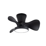 CristalRecord Deckenventilator Moll Mini Ø 56 cm schwarz