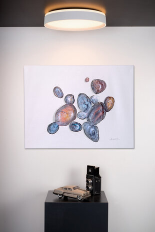 Lucide NURIA - Deckenleuchte - Ø 40 cm - LED 3 StepDim - 1x24W 2700K - Weiß Lucide NURIA - Deckenleuchte - Ø 40 cm - LED 3 StepDim - 1x24W 2700K - Weiß