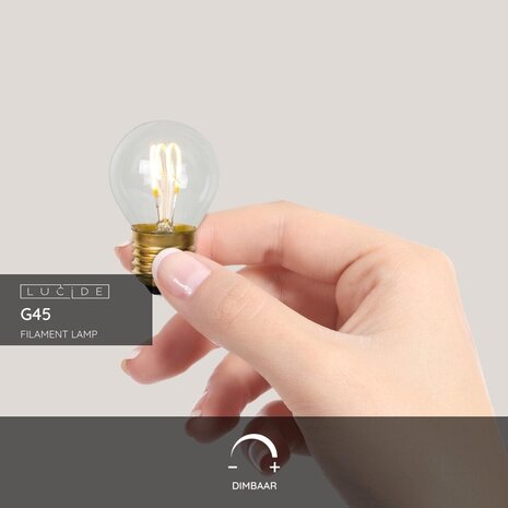 Lucide G45 - Glühlampe - Ø 4,5 cm - LED Dimb. - E27 - 1x3W 2700K - Transparent
