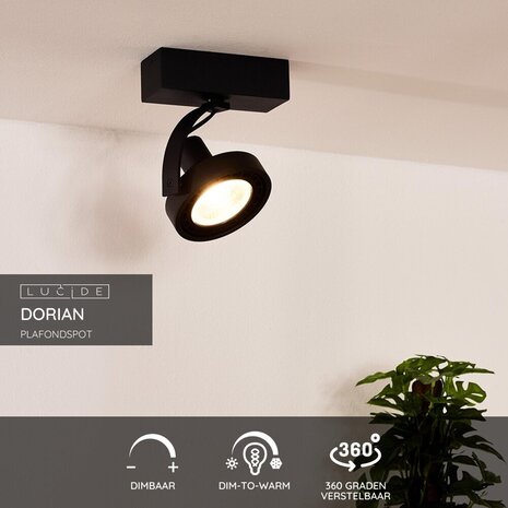 Lucide DORIAN - Deckenstrahler - Ø 11,7 cm - LED Dim to warm - GU10 (ES111) - 1x12W 2200K/3000K - Schwarz Lucide DORIAN - Deckenstrahler - Ø 11,7 cm - LED Dim to warm - GU10 (ES111) - 1x12W 2200K/3000K - Schwarz