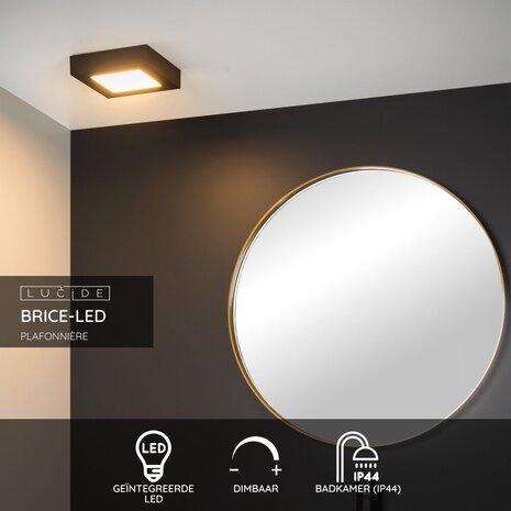 Lucide BRICE-LED - Deckenleuchte Bad - LED Dimb. - 1x15W 3000K - IP44 - Schwarz Lucide BRICE-LED - Deckenleuchte Bad - LED Dimb. - 1x15W 3000K - IP44 - Schwarz