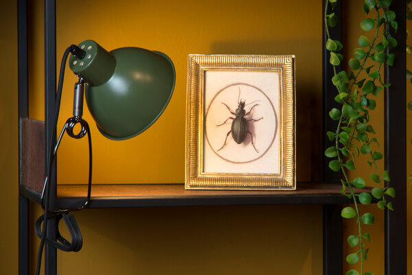 Lucide MOYS - Klemmlampe - 1xE27 - Grün Lucide MOYS - Klemmlampe - 1xE27 - Grün