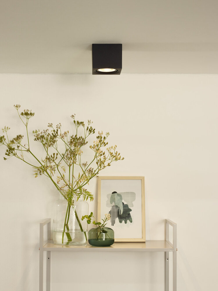 Lucide FEDLER - Deckenstrahler - LED Dim to warm - GU10 (ES111) - 1x12W 2200K/3000K - Schwarz Lucide FEDLER - Deckenstrahler - LED Dim to warm - GU10 (ES111) - 1x12W 2200K/3000K - Schwarz