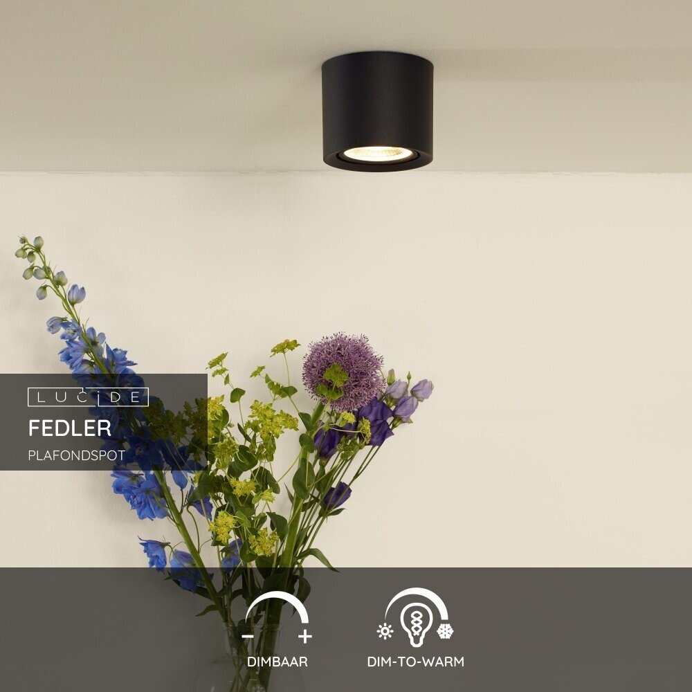 Lucide FEDLER - Deckenstrahler - Ø 12 cm - LED Dim to warm - GU10 (ES111) - 1x12W 2200K/3000K - Schwarz Lucide FEDLER - Deckenstrahler - Ø 12 cm - LED Dim to warm - GU10 (ES111) - 1x12W 2200K/3000K - Schwarz