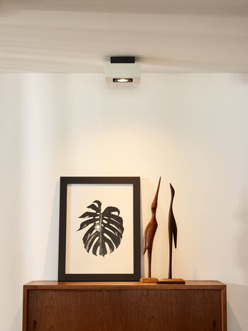 Lucide XIRAX - Deckenstrahler - LED Dim to warm - GU10 - 1x5W 2200K/3000K - Weiß Lucide XIRAX - Deckenstrahler - LED Dim to warm - GU10 - 1x5W 2200K/3000K - Weiß