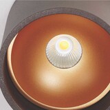 Artdelight Deckenleuchte Orleans Ø 11 cm H 10 cm schwarz-gold