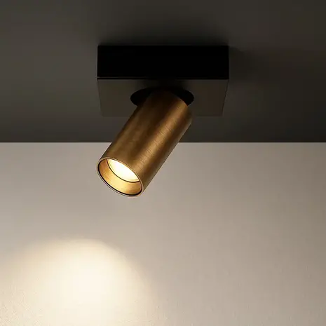 Highlight Spot Eliano 1 Licht schwarz bronze