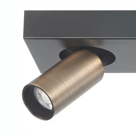 Highlight Spot Eliano 1 Licht schwarz bronze