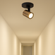 Highlight Spot HALO 1 Licht bronze schwarz Highlight Spot HALO 1 Licht bronze schwarz