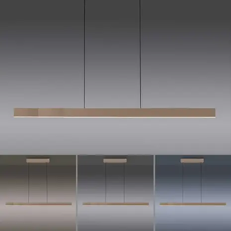 Neuhaus PURE Hängelampe e-Lift + e-Slide L 120-200 cm, champagnerfarben Neuhaus PURE Hängelampe e-Lift + e-Slide L 120-200 cm, champagnerfarben