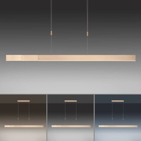 Neuhaus PURE Hängelampe e-Slide L 120-200 cm mattgold Neuhaus PURE Hängelampe e-Slide L 120-200 cm mattgold