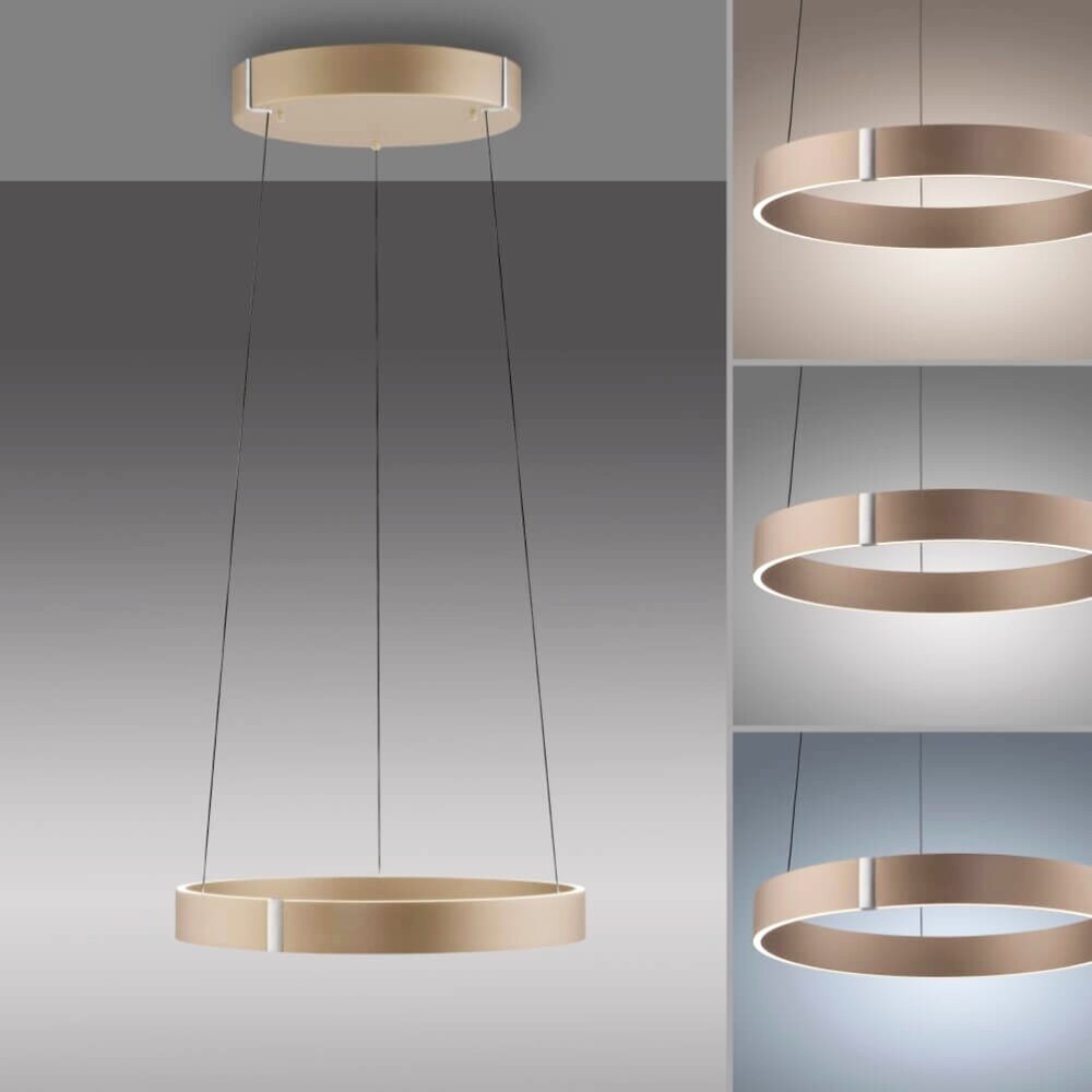 Neuhaus PURE Hängelampe E-Clipse e-Lift Ø 50 cm, champagnerfarben Neuhaus PURE Hängelampe E-Clipse e-Lift Ø 50 cm, champagnerfarben