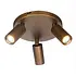 Spot Scolo 3-flammig, Ø 18 cm, Bronze-Gold