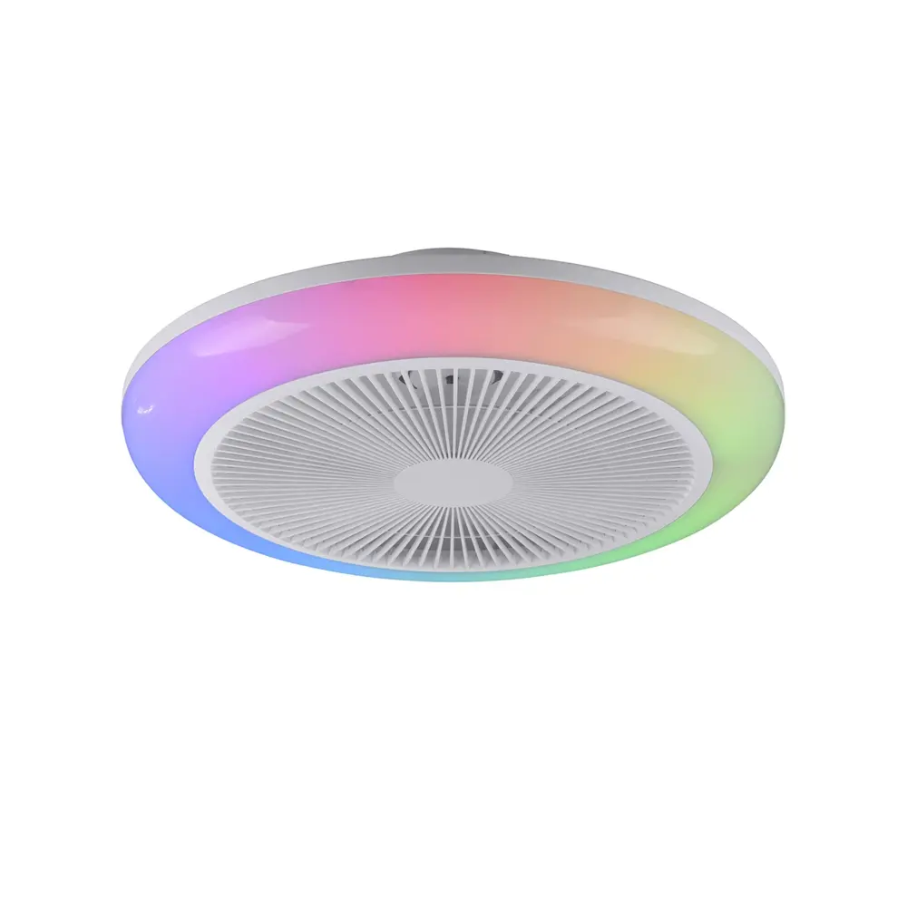 Paul Neuhaus Deckenventilator Brenda Ø 46 cm RGB weiß