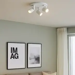 Spot Steinhauer