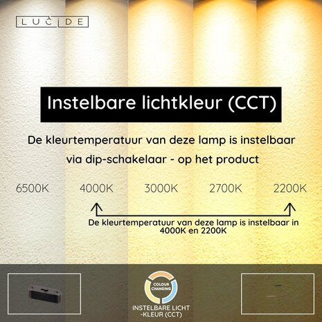 HALMSTAD - Hängelampe - LED Dimmb. - CCT - 1x28W 2200K/4000K - Dunkle Holzoptik | Vibes HALMSTAD - Hängelampe - LED Dimmb. - CCT - 1x28W 2200K/4000K - Dunkle Holzoptik | Vibes