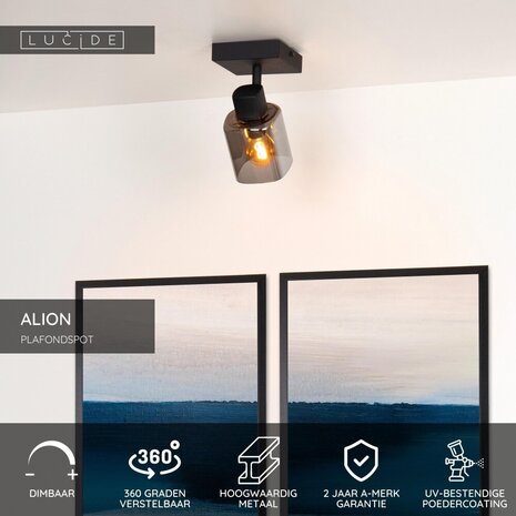 Lucide ALION - Deckenstrahler - 1xE14 - Schwarz Lucide ALION - Deckenstrahler - 1xE14 - Schwarz