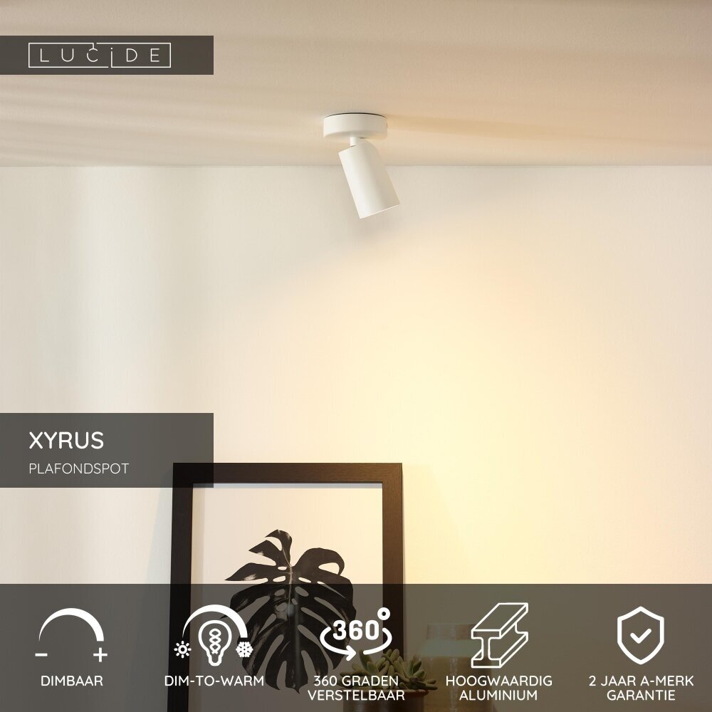 Lucide XYRUS - Deckenstrahler - Ø 9 cm - LED Dim to warm - GU10 - 1x5W 2200K/3000K - Weiß Lucide XYRUS - Deckenstrahler - Ø 9 cm - LED Dim to warm - GU10 - 1x5W 2200K/3000K - Weiß