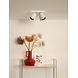 Lucide NIGEL - Deckenstrahler - LED Dim to warm - GU10 - 4x5W 2200K/3000K - Weiß Lucide NIGEL - Deckenstrahler - LED Dim to warm - GU10 - 4x5W 2200K/3000K - Weiß