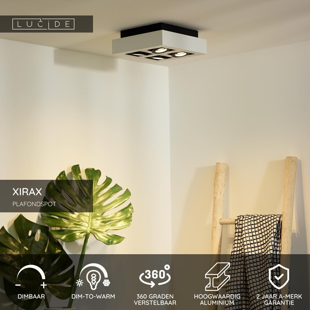 Lucide XIRAX - Deckenstrahler - LED Dim to warm - GU10 - 4x5W 2200K/3000K - Weiß