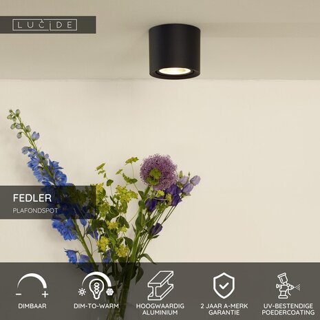 Lucide FEDLER - Deckenstrahler - Ø 12 cm - LED Dim to warm - GU10 (ES111) - 1x12W 2200K/3000K - Schwarz Lucide FEDLER - Deckenstrahler - Ø 12 cm - LED Dim to warm - GU10 (ES111) - 1x12W 2200K/3000K - Schwarz
