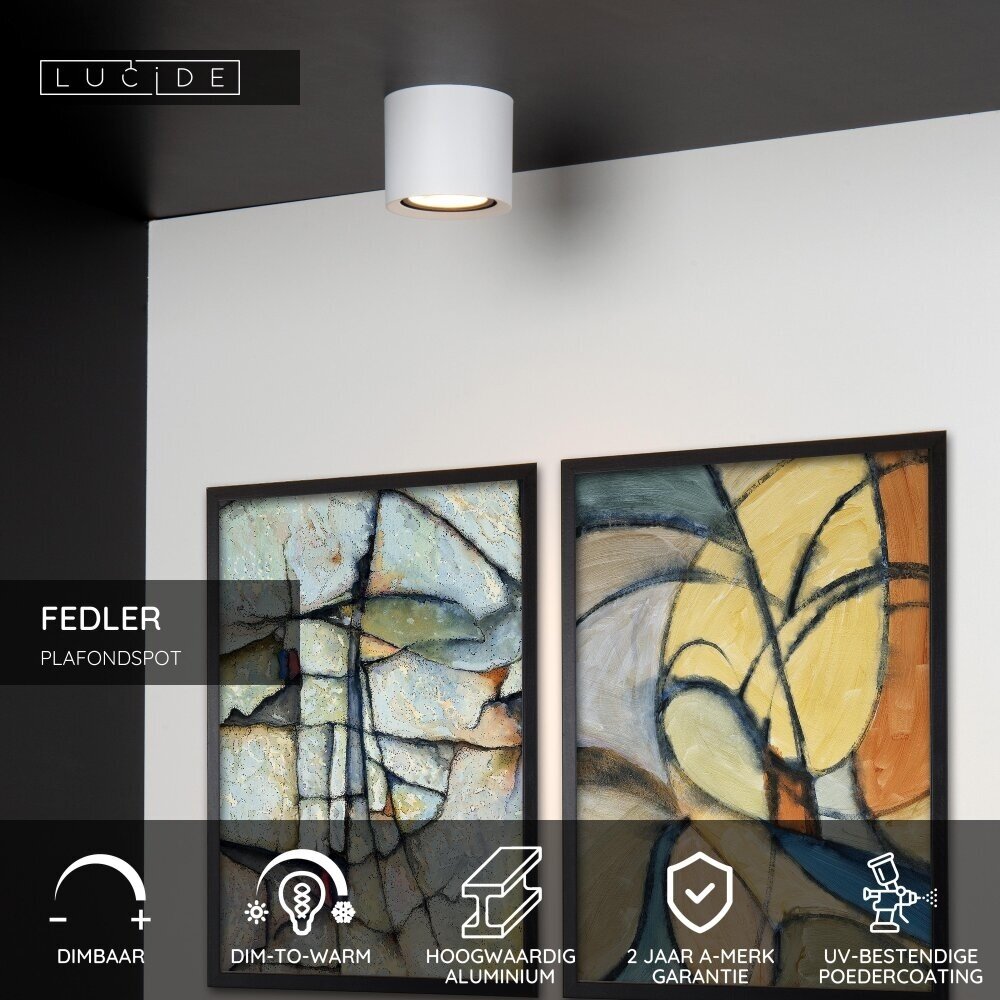 Lucide FEDLER - Deckenstrahler - Ø 12 cm - LED Dim to warm - GU10 (ES111) - 1x12W 2200K/3000K - Weiß Lucide FEDLER - Deckenstrahler - Ø 12 cm - LED Dim to warm - GU10 (ES111) - 1x12W 2200K/3000K - Weiß