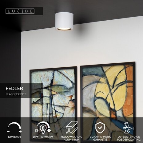 Lucide FEDLER - Deckenstrahler - Ø 12 cm - LED Dim to warm - GU10 (ES111) - 1x12W 2200K/3000K - Weiß Lucide FEDLER - Deckenstrahler - Ø 12 cm - LED Dim to warm - GU10 (ES111) - 1x12W 2200K/3000K - Weiß