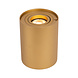 Lucide TUBE - Tischleuchte - Ø 9,6 cm - LED 3 StepDim - GU10 - 1x5W 2600K/2800K - Mattes Gold / Messing Lucide TUBE - Tischleuchte - Ø 9,6 cm - LED 3 StepDim - GU10 - 1x5W 2600K/2800K - Mattes Gold / Messing
