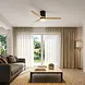 CristalRecord Deckenventilator Nine Ø 132 cm Holz schwarz