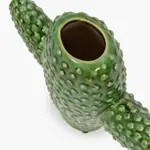 Cactus small