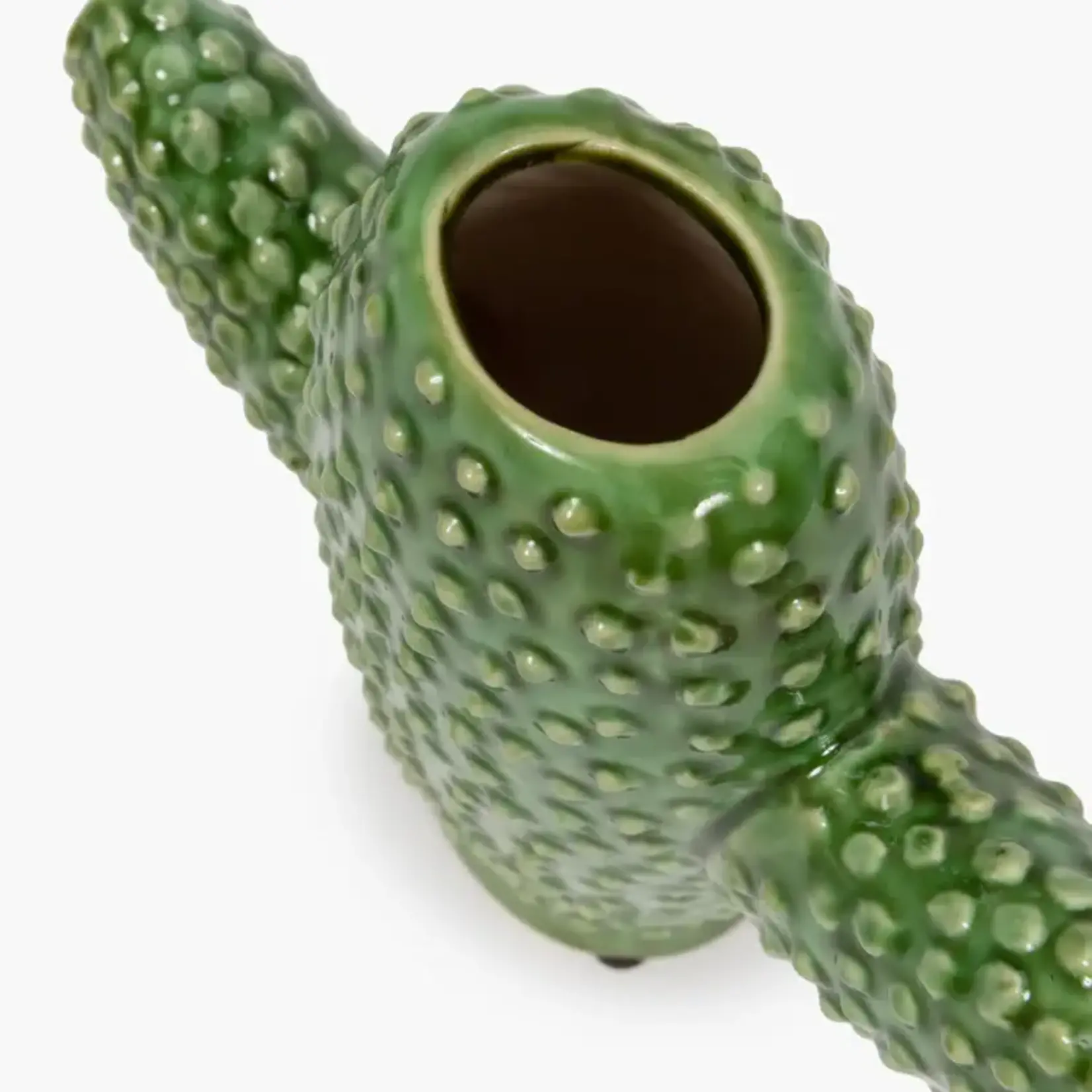 Cactus small