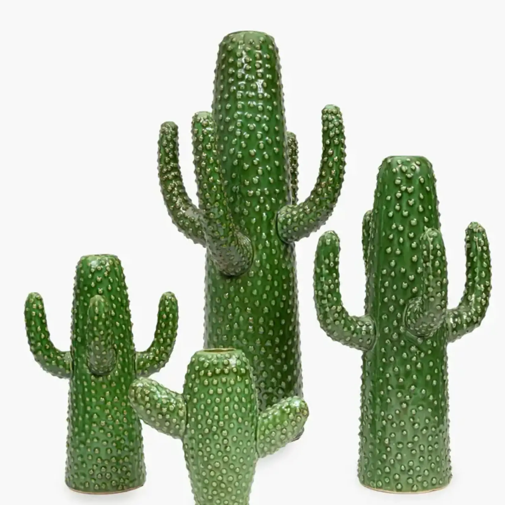 Cactus small