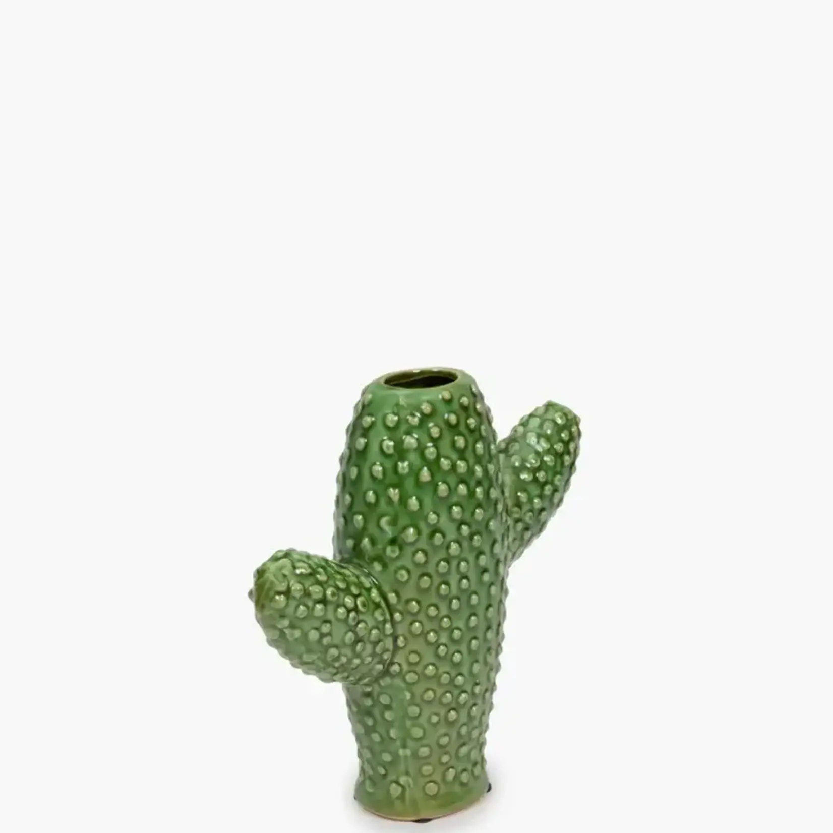 Cactus small
