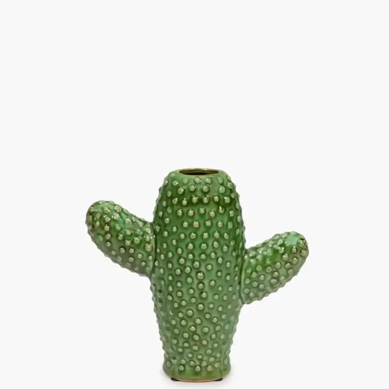 Cactus small