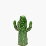 Cactus medium