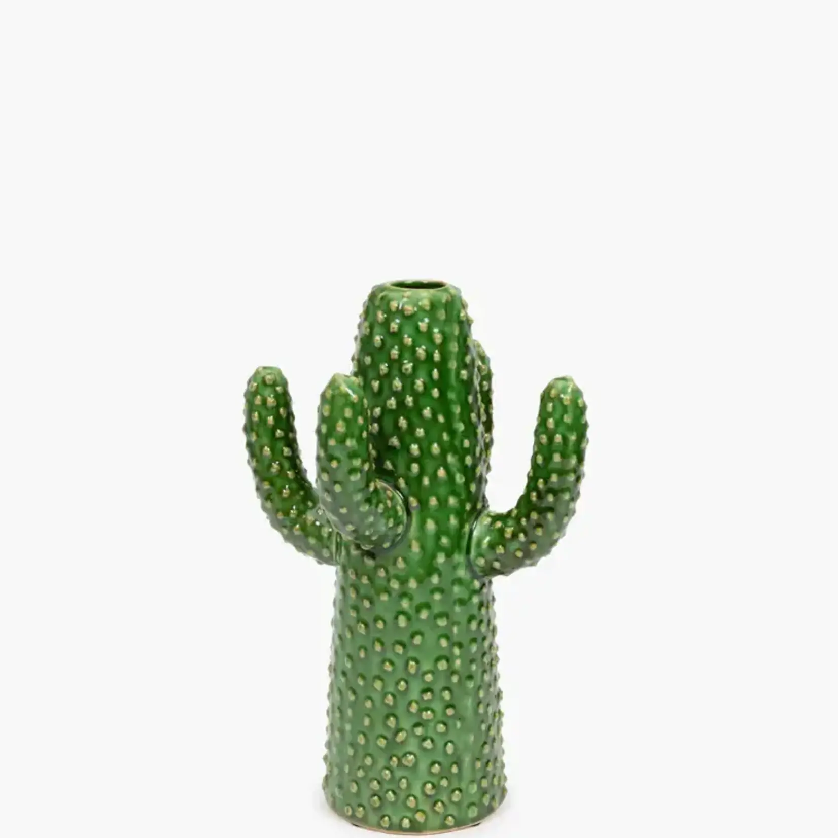 Cactus medium