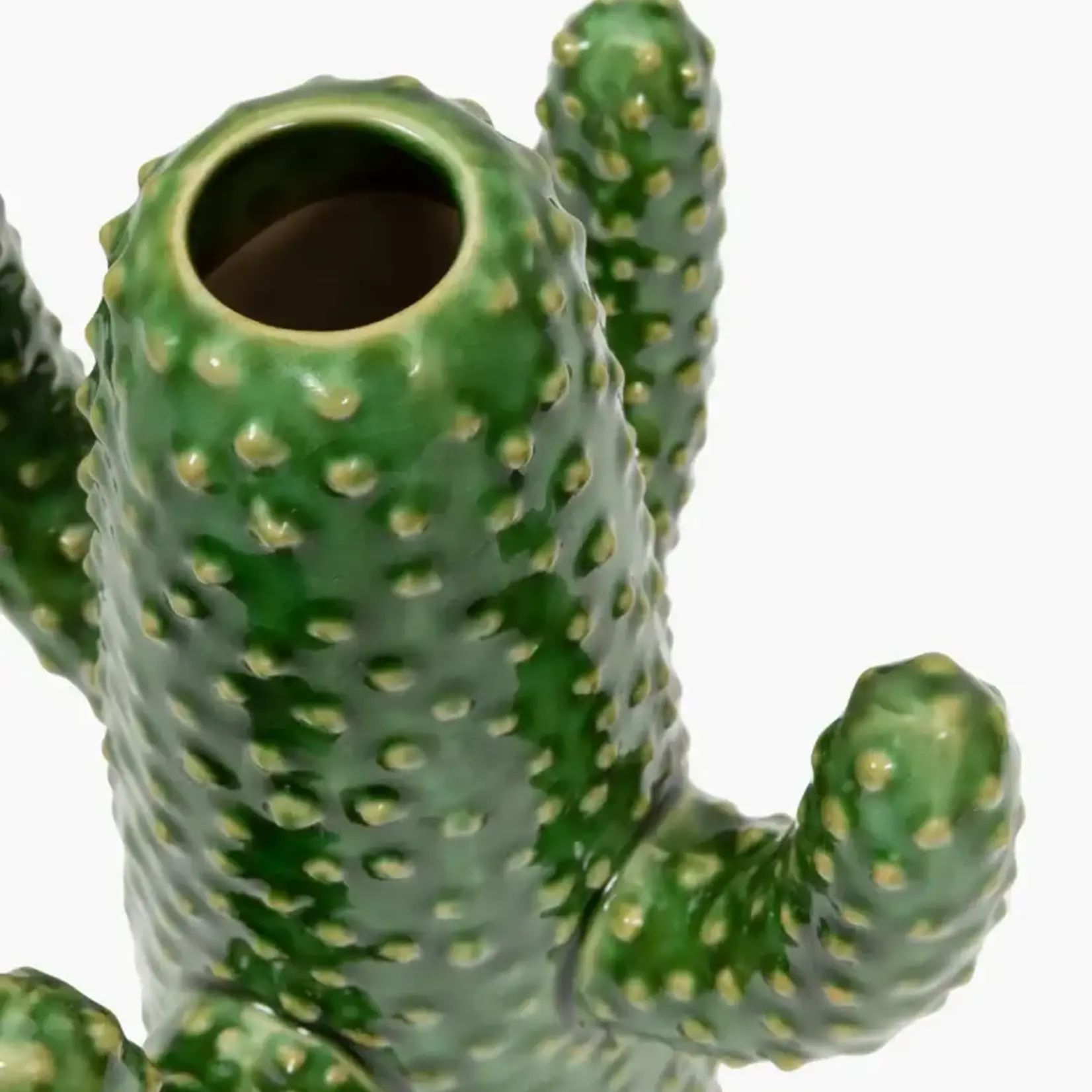 Cactus medium