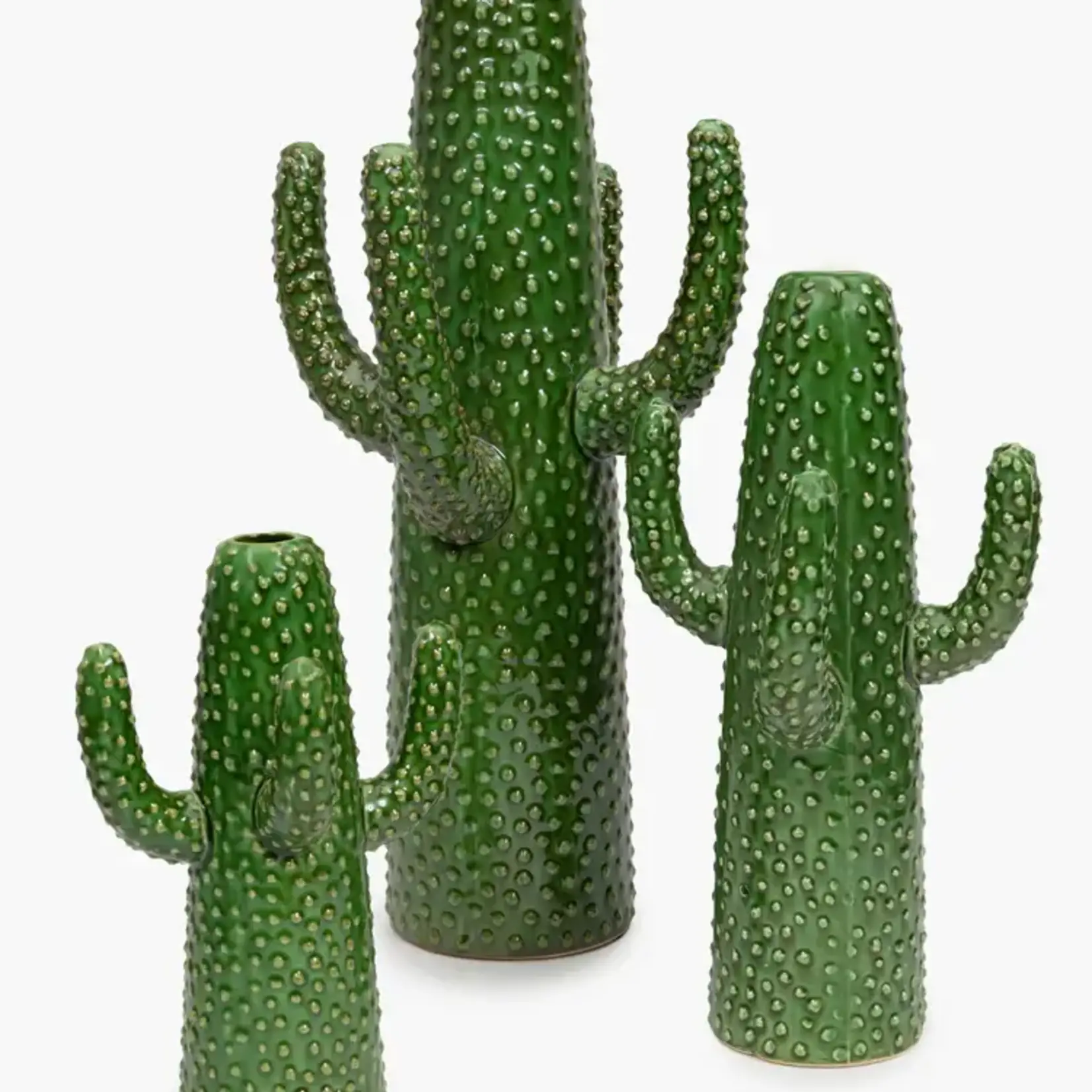 Cactus medium