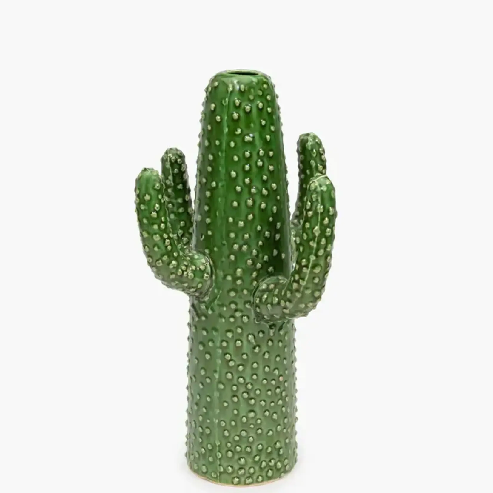 Cactus large
