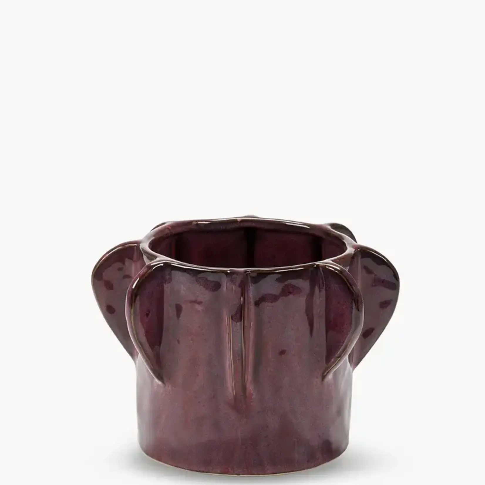 Bloempot aubergine molly - H 15 CM