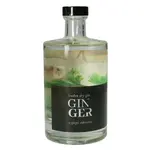 Ginger Gin 49% 50cl
