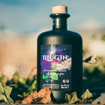IlluGin Blueberry 40% 50cl