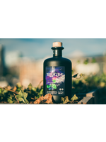 IlluGin Blueberry 40% 50cl